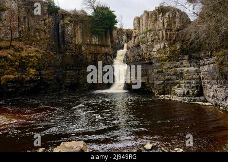 Vicino a Middleton-in-Teesdale il River Tees scende sopra la cascata dell'alta forza nella piscina sottostante. Foto Stock