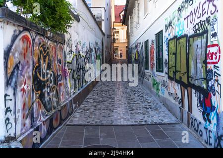 Lubiana, Slovenia - 07.15.2021: Strada stretta di Lubiana coperta di graffiti Foto Stock