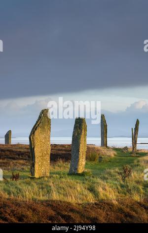 The Ring of Brodgar all'alba, Mainland, Orkney Isles, Scozia, Regno Unito Foto Stock