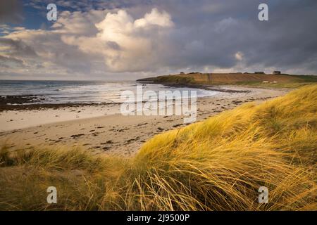 Taracliff Bay all'alba, Mainland, Orkney Isles, Scozia, Regno Unito Foto Stock