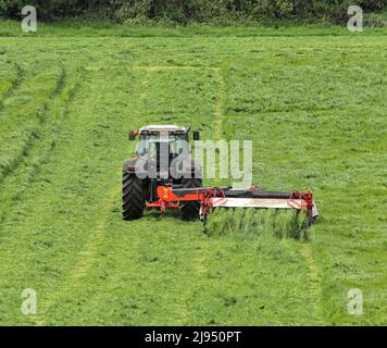 Trattore che taglia l'erba in un prato Foto Stock