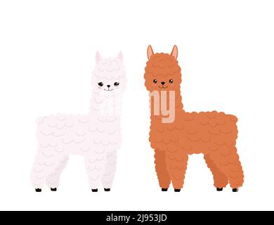 Carino due lama su sfondo bianco. Divertenti personaggi kawaii di alpaca Illustrazione Vettoriale