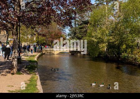 Turisti turistici in Bourton-on-the-Water con i suoi ponti in pietra bassi attraverso il fiume Windrush, Cotswolds, Gloucestershire, Inghilterra, Regno Unito. Foto Stock