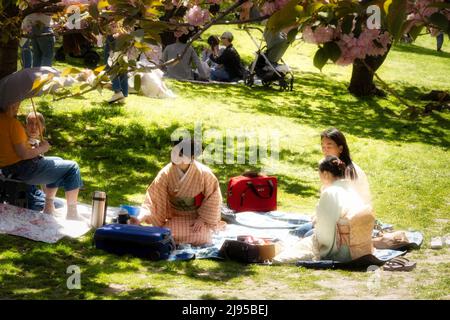 Central Park è una splendida oasi urbana in primavera, New York City, USA 2022 Foto Stock