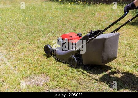 La donna rasa il prato utilizzando un tosaerba semovente a benzina Foto Stock