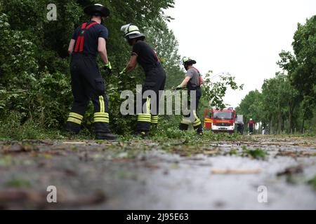 Lippstadt, Germania. 20th maggio 2022. I vigili del fuoco rimuovono i detriti da una strada. Un presunto tornado ha causato danni enormi a Lippstadt il venerdì pomeriggio. Credit: Friso Gentsch/dpa/Alamy Live News Foto Stock