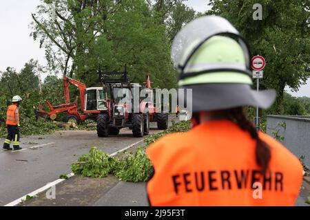 Lippstadt, Germania. 20th maggio 2022. I vigili del fuoco rimuovono i detriti da una strada. Un presunto tornado ha causato danni enormi a Lippstadt il venerdì pomeriggio. Credit: Friso Gentsch/dpa/Alamy Live News Foto Stock