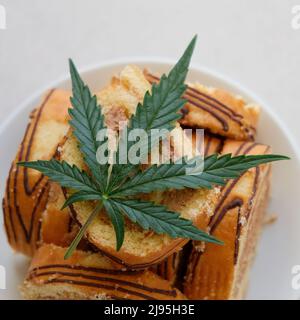 Rotolo dolce con olio di marijuana su piatto bianco. Cucina di cannabis. Disposizione dei deliziosi dessert, vista dall'alto da vicino. Foto Stock