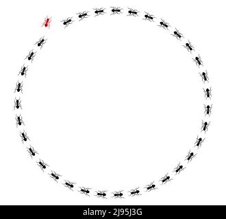 Formica traccia Una linea di formiche lavoratore marching in cerca di cibo Vector illustrazione banner orizzontale ANT colonna stradale Teamwork duro lavoro metafora. Nero poll Illustrazione Vettoriale