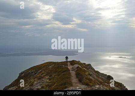 Escursionisti/escursionisti in collina con silhouette su ben Mor Coigach, una cresta vicino Ullapool, Scozia nord-occidentale, Assynt, ammirare le viste delle isole estive in una giornata di primavera Foto Stock