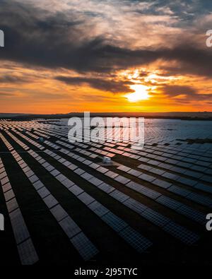 Vista aerea di lunghe file di pannelli solari al tramonto Foto Stock