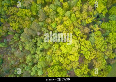 Vista aerea di Loch Lomond che mostra l'isola di Inchtavannach Foto Stock