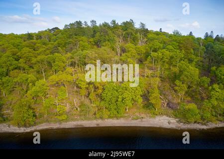 Vista aerea di Loch Lomond che mostra l'isola di Inchtavannach Foto Stock