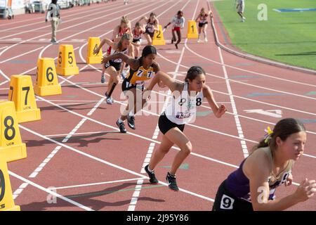 Austin Texas USA, 13 maggio 2022: Inizio delle ragazze 2A 800 metri corsa al Texas state High School Track Championships. ©Bob Daemmrich Foto Stock