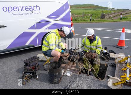 Ingegneri di telecomunicazioni che lavorano fuori su linee telefoniche sotterranee, Finstown, Orkney continentale, Scozia. Foto Stock