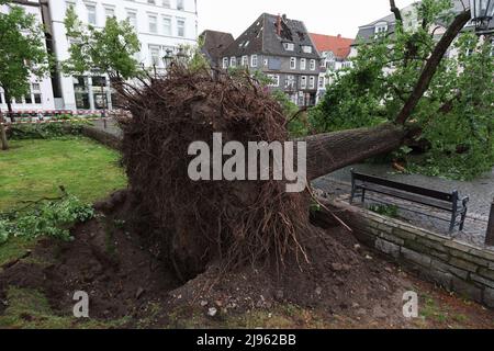 Lippstadt, Germania. 20th maggio 2022. Vista di una struttura sradicata. Un presunto tornado ha causato danni enormi a Lippstadt il venerdì pomeriggio. Credit: Friso Gentsch/dpa/Alamy Live News Foto Stock