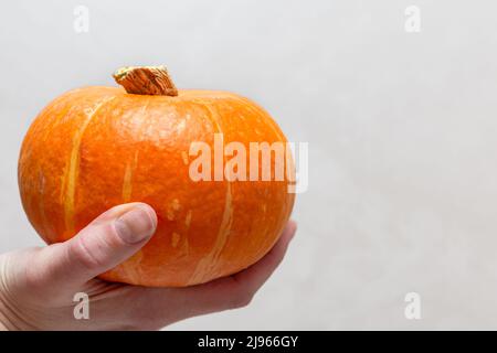 Zucca arancione fresca intera in mani femminili su sfondo bianco. Dieta alimentare. Zuppa di zucca. Torta di zucca. Porridge di zucca. Concetto autunnale. Grazie Foto Stock