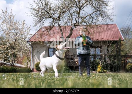 Ragazzino che fa delle bolle di sapone da una pistola bolle mentre gioca con il suo cane su un prato vicino a casa Foto Stock