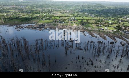 (NOTA DEI REDATTORI: Immagine presa con drone)veduta aerea delle case e degli alberi morti di acacia che sono stati sommersi quando i livelli del lago Nakuru aumentarono. Negli ultimi 10 anni, i laghi della Rift Valley sono cresciuti costantemente in quello che gli esperti indicano come gli effetti del cambiamento climatico. Le alluvioni hanno sfollato centinaia di persone dalle loro case e dal loro lavoro, le comunità povere ed emarginate ne hanno il peso maggiore. Foto Stock