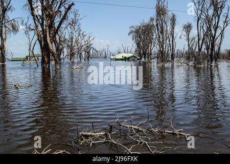 Nakuru, Kenya. 16th maggio 2022. Blocchi di uffici sommersi visto all'ex ingresso del lago Nakuru. Negli ultimi 10 anni, i laghi della Rift Valley sono cresciuti costantemente in quello che gli esperti indicano come gli effetti del cambiamento climatico. Le alluvioni hanno sfollato centinaia di persone dalle loro case e dal loro lavoro, le comunità povere ed emarginate ne hanno il peso maggiore. (Foto di James Wakibia/SOPA Images/Sipa USA) Credit: Sipa USA/Alamy Live News Foto Stock