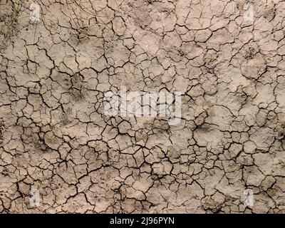 Ucraina. 31st ago 2020. Letto di fiume asciutto. Letto di fiume asciutto e vuoto con terreno incrinato. Concetto di riscaldamento globale. Paesaggio piatto deserto piano, bacino di raccolta essiccato, terra arida frantumazione (Credit Image: © Andrey Nekrasov/ZUMA Press Wire) Foto Stock