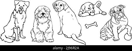 Illustrazione vettoriale con collezione di razze diverse di cane. Design per libro da colorare. Illustrazione Vettoriale