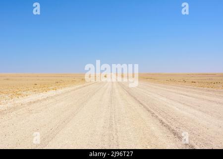 Vista panoramica degli orizzonti infiniti che si vedono mentre si guida la strada Namibia C14 da Solitaire a Walvis Bay, Namibia, Africa sud-occidentale Foto Stock