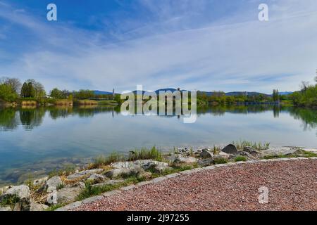 Friburgo, Germania - Aprile 2022: Lago nel parco pubblico chiamato 'Seepark' nella soleggiata primavera Foto Stock