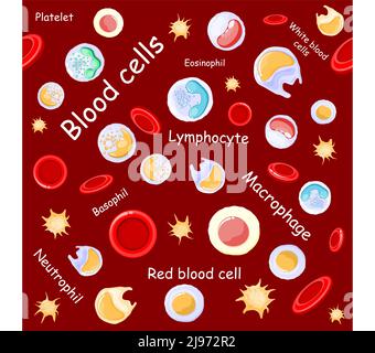 pattern senza cuciture. globuli rossi e bianchi al microscopio. Sfondo vettoriale Illustrazione Vettoriale