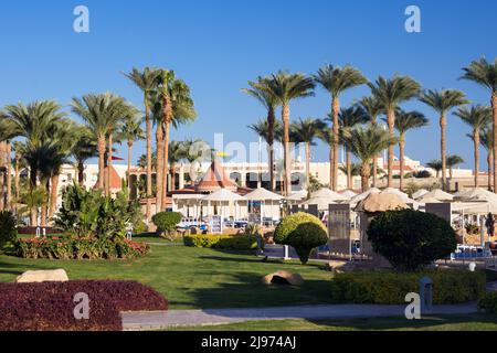 Grandi palme sul vicolo dell'hotel in una calda giornata di sole. Riposatevi sul mare. Egitto. Foto Stock
