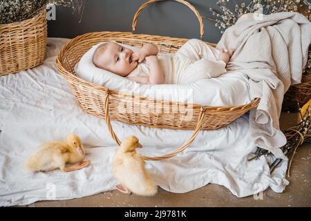 bambino in un cestino di maglia piccolo sfondo grigio oche salice eco stile. Foto di alta qualità Foto Stock