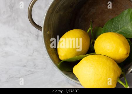 Limoni appena raccolti con foglie in un secchio di metallo. Su sfondo di marmo bianco Foto Stock