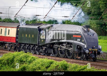 Heritage restaurato A4 Pacific locomotiva a vapore Sir Nigel Gresley durante il suo primo tour ferroviario dopo la revisione visto in direzione nord da Crewe a Carlisle. Foto Stock