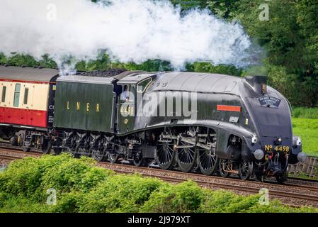 Heritage restaurato A4 Pacific locomotiva a vapore Sir Nigel Gresley durante il suo primo tour ferroviario dopo la revisione visto in direzione nord da Crewe a Carlisle. Foto Stock