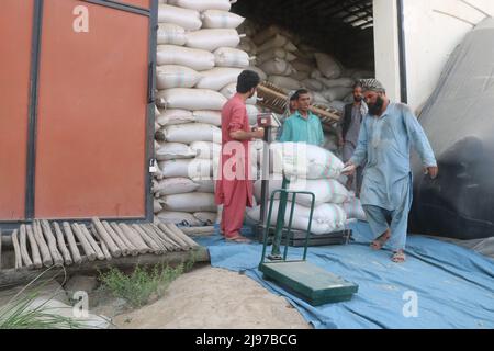 Kunduz, Afghanistan. 11th maggio 2022. I lavoratori afghani lavorano in un impianto di lavorazione del riso nella provincia di Kunduz, Afghanistan, 11 maggio 2022. Il riso e la farina di grano sono due fonti alimentari principali in Afghanistan. Più di 22 milioni su 35 milioni di abitanti si trovano ad affrontare una grave carenza di cibo. PER ANDARE CON 'caratteristica: Gli agricoltori di riso afghani lotta per alimentare la loro nazione affamata' credito: Khibar Momand/Xinhua/Alamy Live News Foto Stock