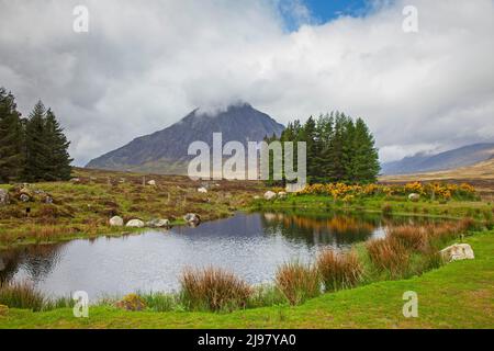 Glencoe, Lochaber, Scozia, Regno Unito. 21st maggio 2022. Pioggia e incantesimi di sole all'hotel Kings House. Laghetti decorativi raffigurati nel Kings House Hotel Grounds con Buachaille Etive Mor sullo sfondo. Temperatura intorno a 12 gradi centigradi. Credit: Arch White/Alamy Live News. Foto Stock