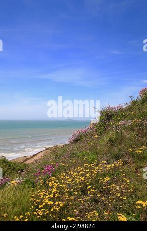 Spiaggia di Barton sul Mare e lungomare con fiori selvatici. Maggio 2022 Foto Stock