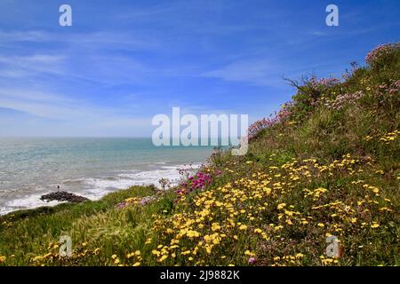 Spiaggia di Barton sul Mare e lungomare con fiori selvatici. Maggio 2022 Foto Stock