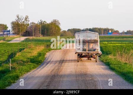 Amish Greenhouse Wagon, che protegge le piante in vaso sulla loro strada verso il mercato, nel Michigan centrale, Stati Uniti d'America [Nessun rilascio di proprietà; licenza editoriale solo] Foto Stock