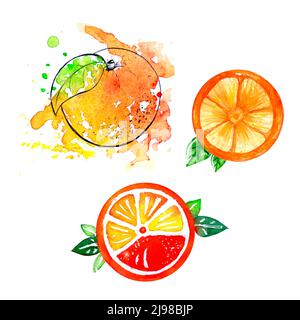 Acquerello con disegno di arance brillanti. Dipinto a mano isolato su sfondo bianco. Foto Stock