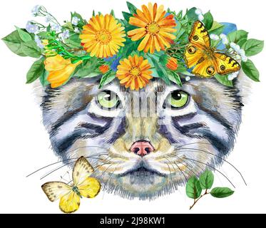 Disegno acquerello dell'animale - gatto manul in una corona di fiori, disegno Foto Stock