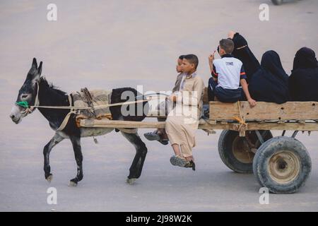 La gente egiziana locale nell'Oasi egiziana di Siwa Foto Stock