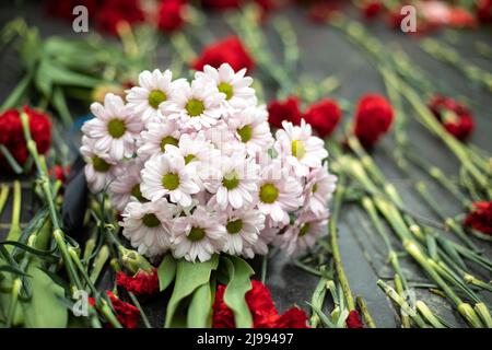 Fiori sul memoriale. Bouquet di fiori su lapide. Dettagli della cerimonia funebre. Foto Stock