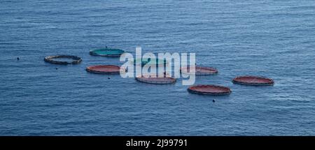 Allevamenti di pesci in mare aperto per l'allevamento di pesci e altri animali marini, vicino all'isola di Madeira nell'Oceano Atlantico Foto Stock