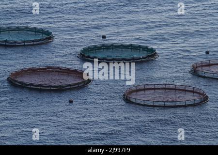 Allevamenti di pesci in mare aperto per l'allevamento di pesci e altri animali marini, vicino all'isola di Madeira nell'Oceano Atlantico Foto Stock