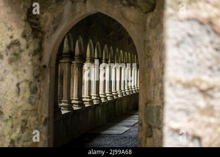 Quin una pittoresca cittadina nella regione di Shannon con le rovine di un monastero storico, Quin, Irlanda, maggio 21,2022 Foto Stock