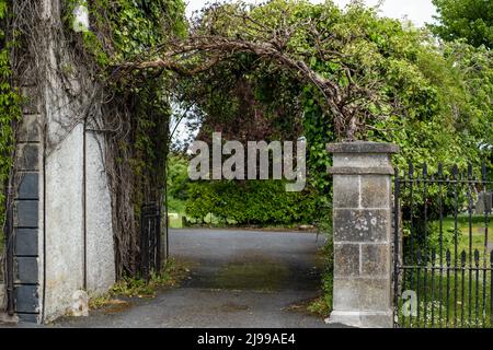 Quin una pittoresca cittadina nella regione di Shannon con le rovine di un monastero storico, Quin, Irlanda, maggio 21,2022 Foto Stock