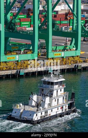 Autogru container, Porto di Los Angeles, San Pedro, California, USA Foto Stock