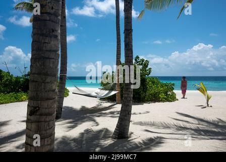 Un paradiso tropicale con un'amaca sotto le palme da cocco (Cocos nucifera), sabbia bianca e un oceano turchese sullo sfondo, perfetto per rilassarsi Foto Stock