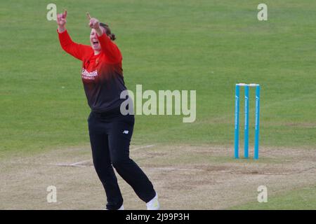 Chester le Street, Inghilterra, 21 maggio 2022. Anya Shrubbole festeggia dopo aver preso un cazzo per Southern Vipers contro i Northern Diamonds nella Charlotte Edwards Cup al Riverside Ground. Credit Colin Edwards Foto Stock